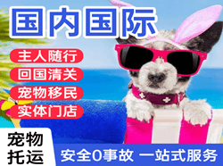 昭通空运公司国际宠物托运 【国